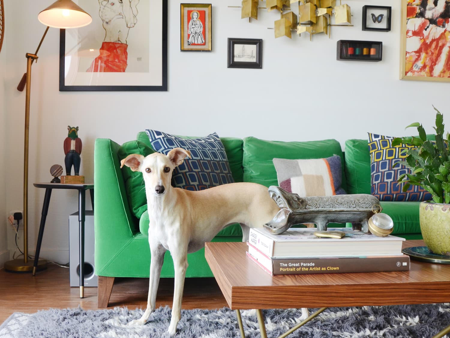 What is the Best Couch Material for Dogs Apartment Therapy